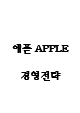 애플 APPLE 기업분석,제품특징분석및 애플 경영전략 사례분석과 미래방향제시